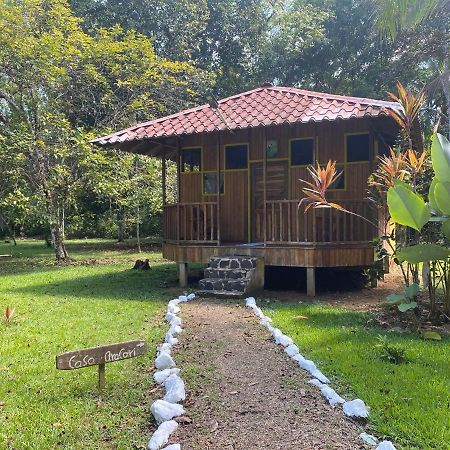Sabalo Lodge Tours And Cabins Sierpe Extérieur photo