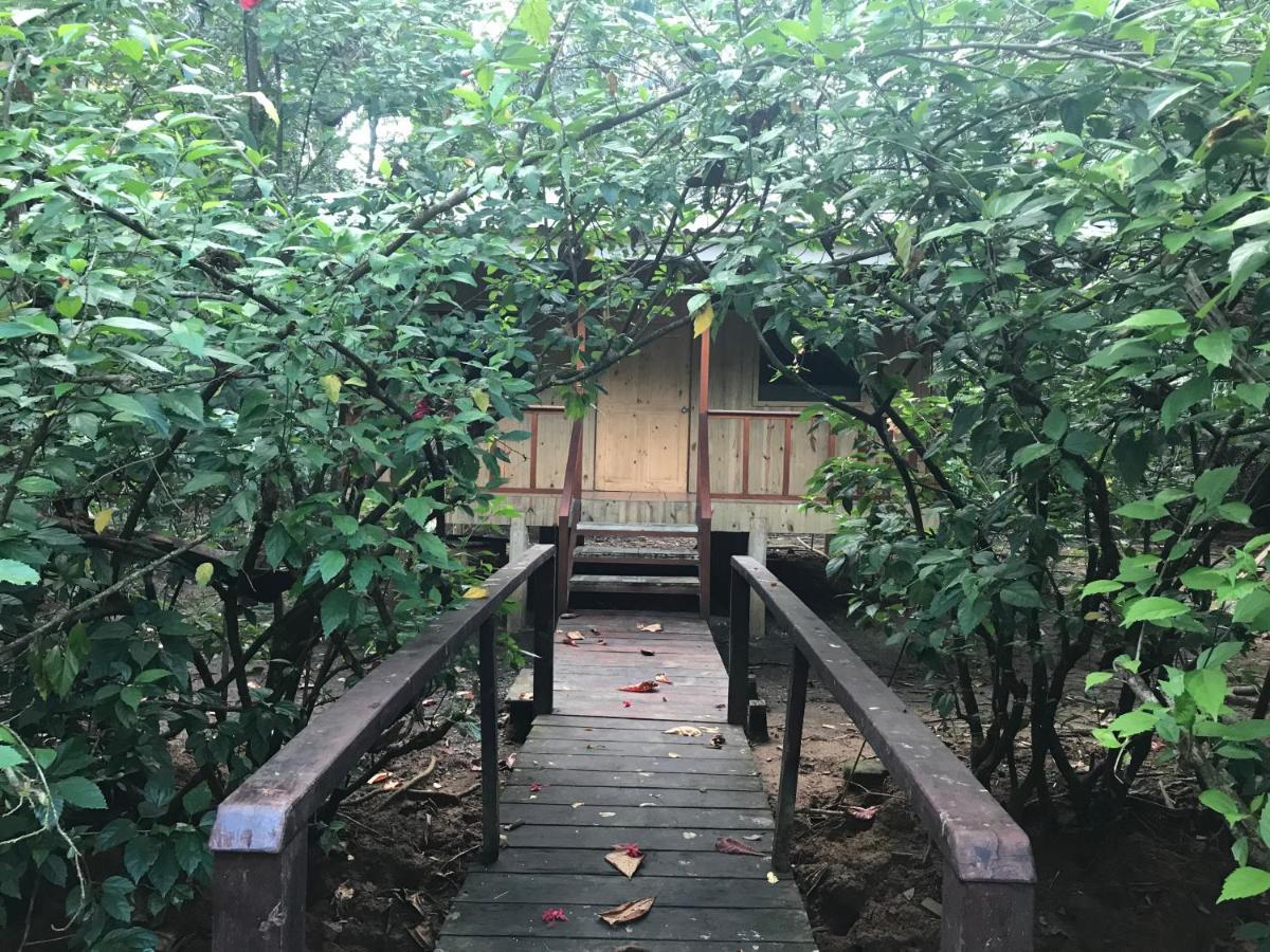 Sabalo Lodge Tours And Cabins Sierpe Extérieur photo