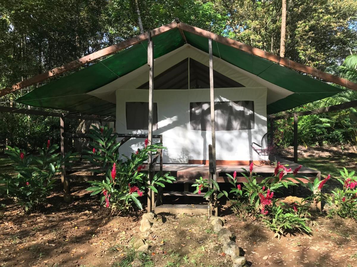 Sabalo Lodge Tours And Cabins Sierpe Extérieur photo