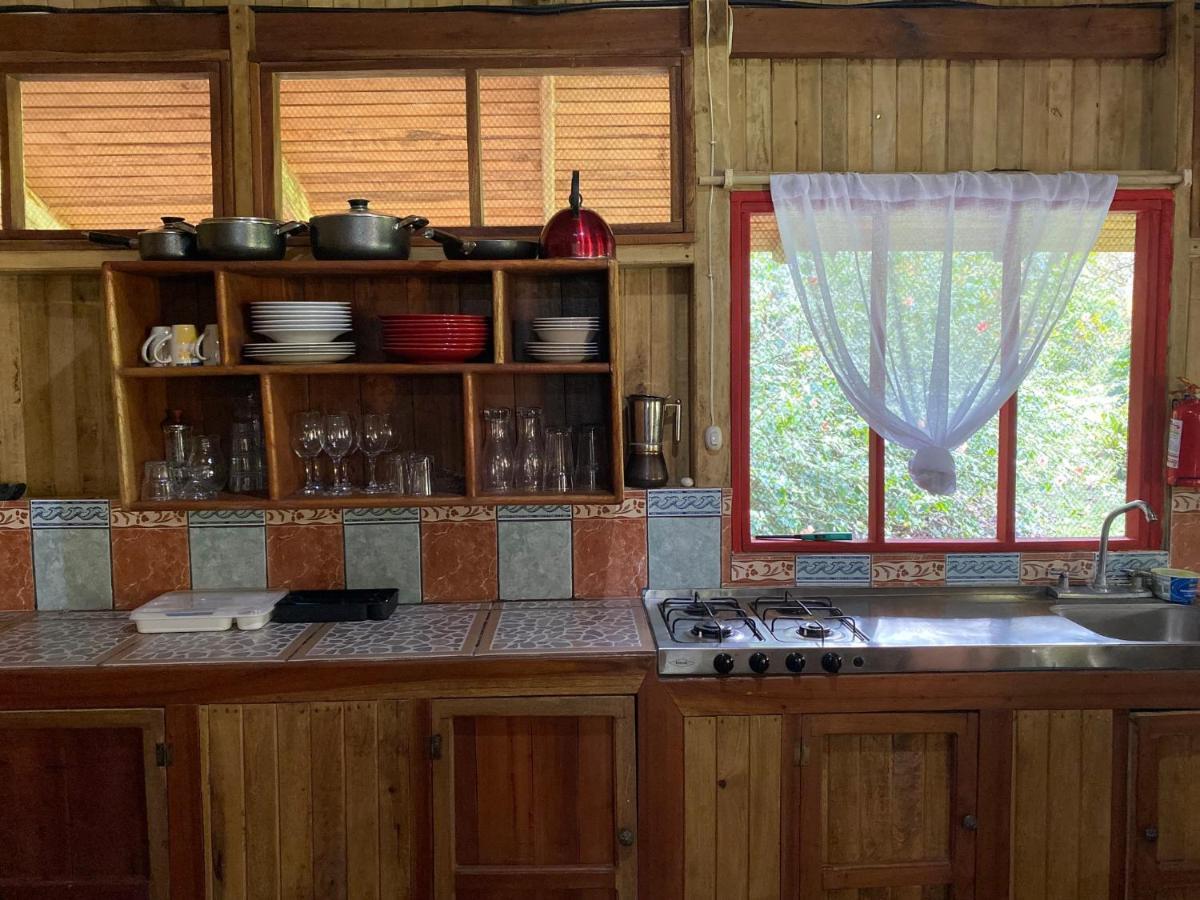 Sabalo Lodge Tours And Cabins Sierpe Extérieur photo