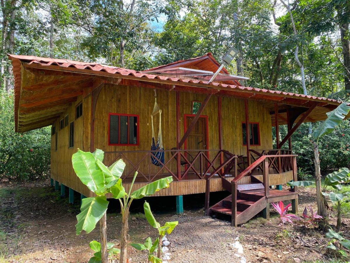 Sabalo Lodge Tours And Cabins Sierpe Extérieur photo