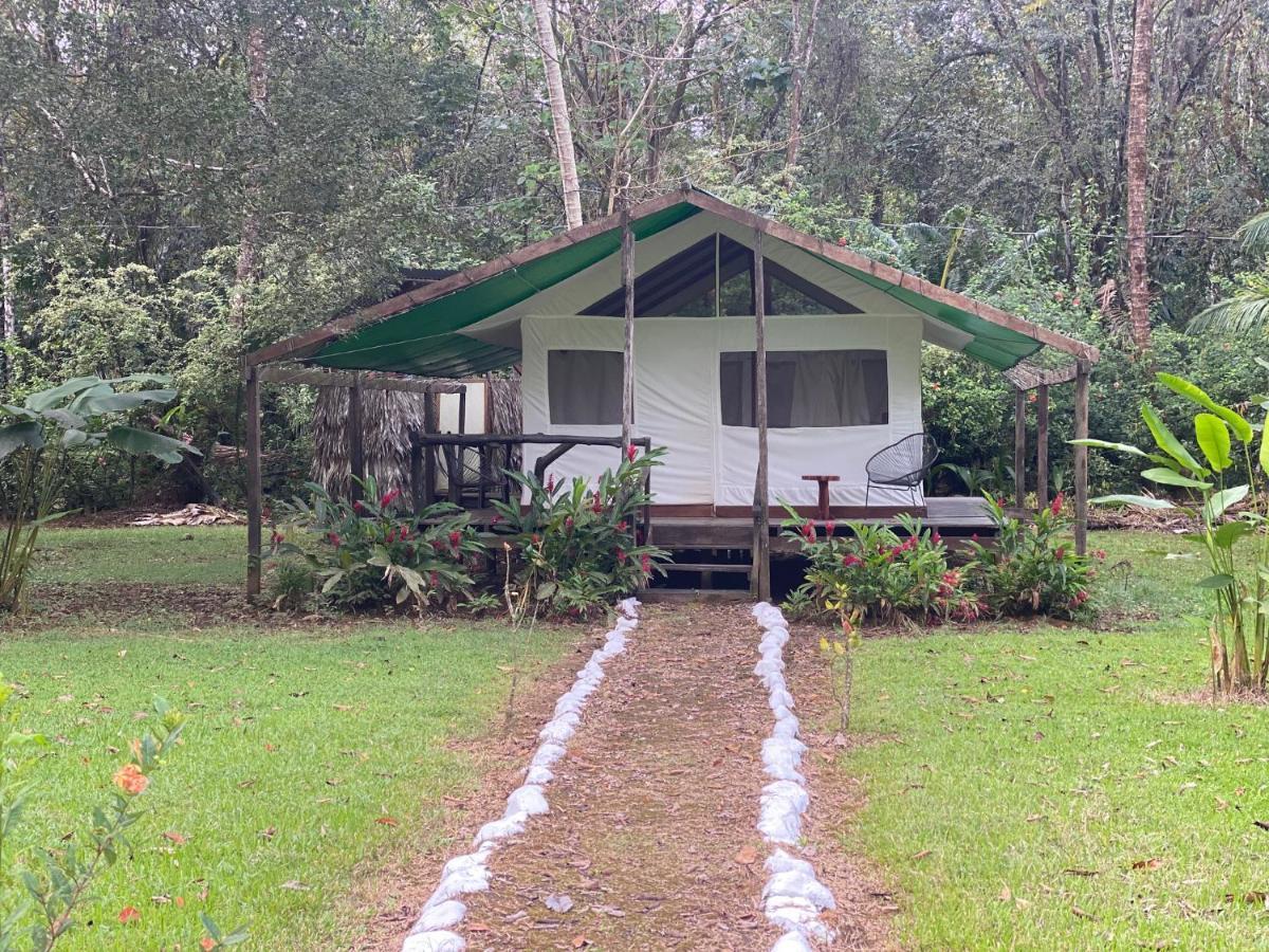 Sabalo Lodge Tours And Cabins Sierpe Extérieur photo