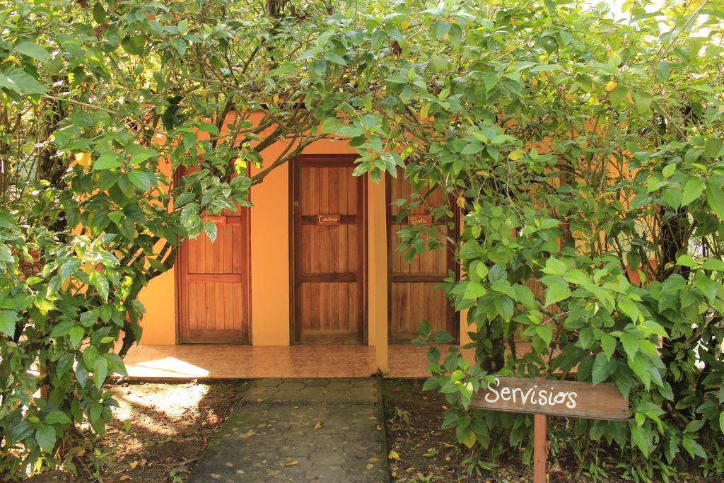 Sabalo Lodge Tours And Cabins Sierpe Extérieur photo