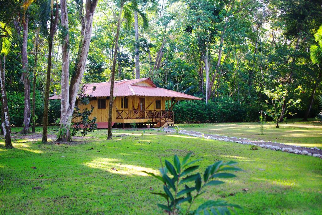 Sabalo Lodge Tours And Cabins Sierpe Chambre photo