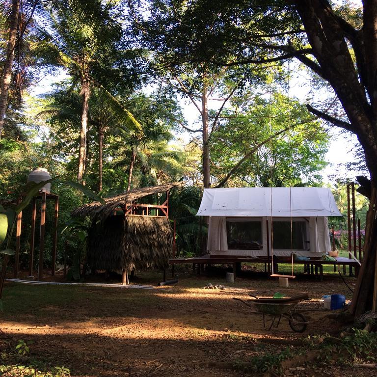 Sabalo Lodge Tours And Cabins Sierpe Extérieur photo