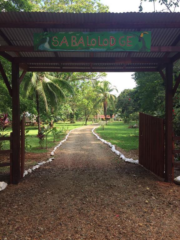 Sabalo Lodge Tours And Cabins Sierpe Extérieur photo